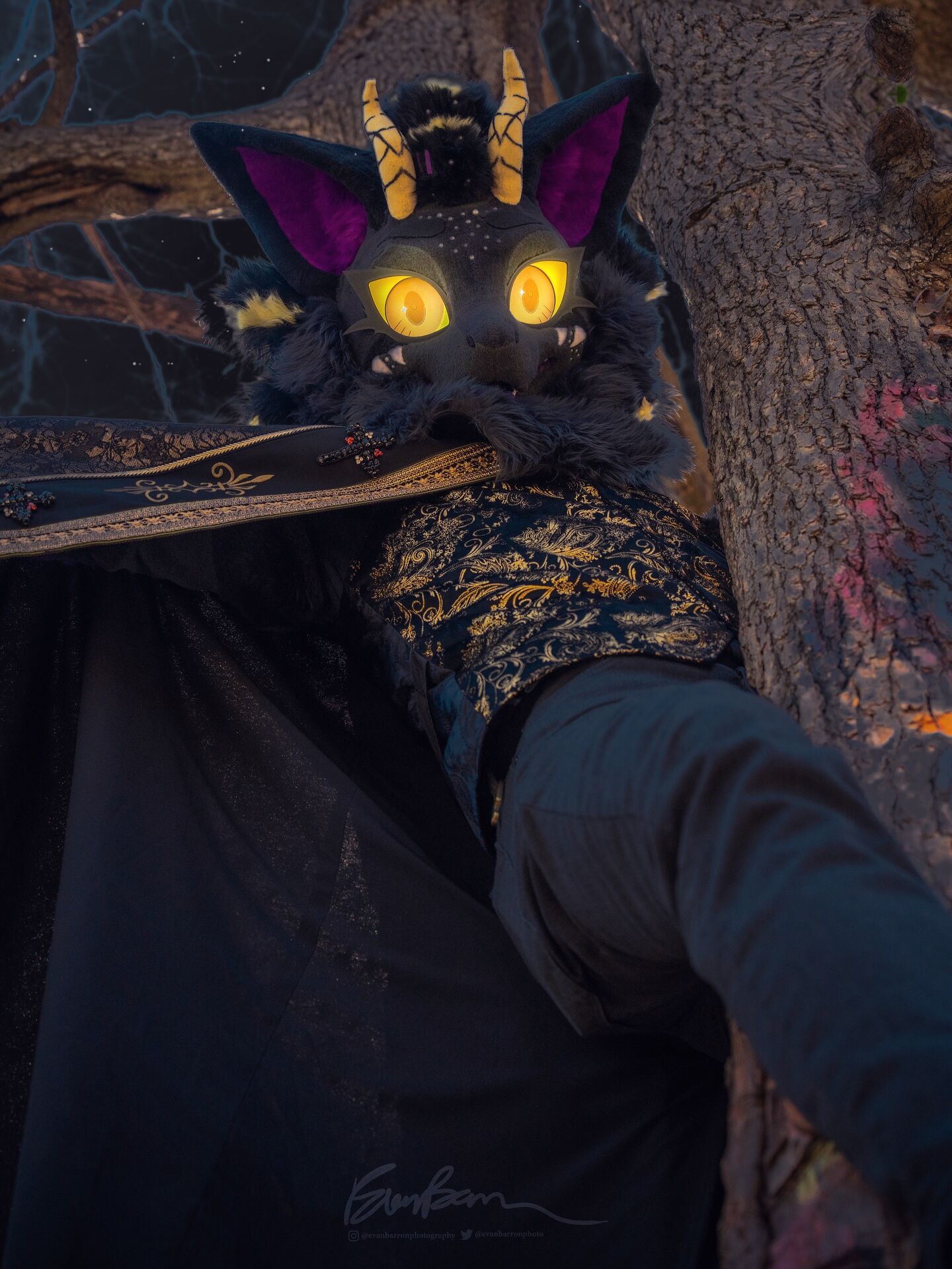 Nyxandriel looking down from a tree at dusk, gold eyes glowing, in a black and gold brocade vest and cape